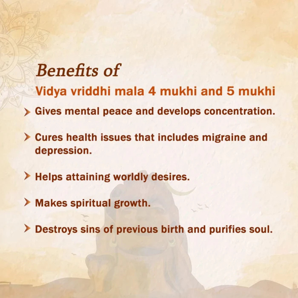 Vidya Vriddhi Mala - 4 Mukhi and 5 Mukhi Rudraksha