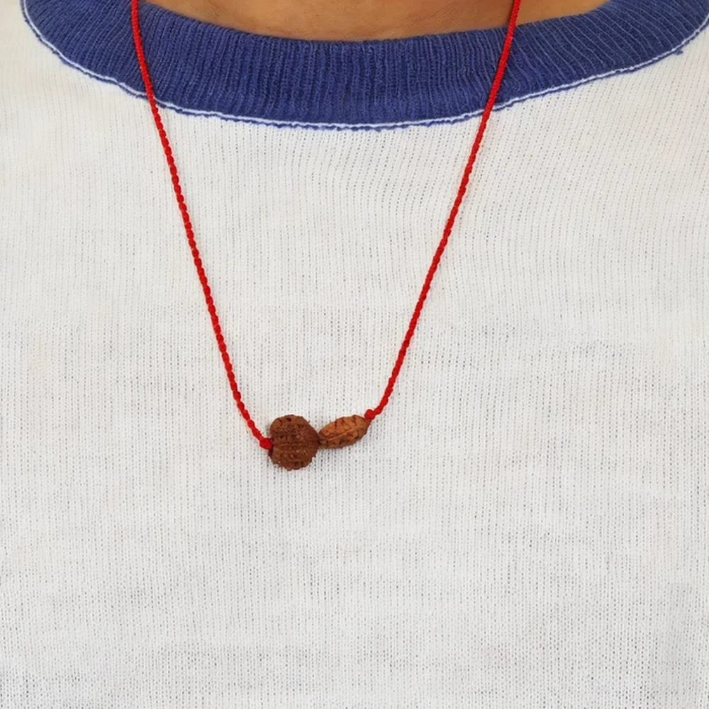 Chandra-Rahu Grahan Dosh Kavach – 2 & 8 Mukhi Rudraksha
