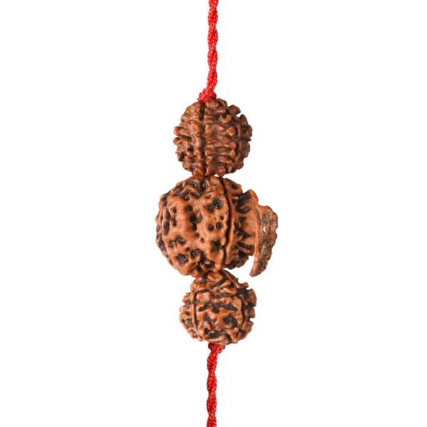 Dhan Laxmi Ganesh Kavach – 7 Mukhi + Ganesh Rudraksha