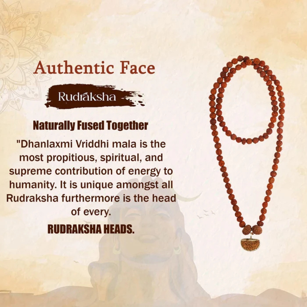 Dhanlaxmi Vriddhi Mala - 1 Mukhi and 9 Mukhi Rudraksha