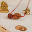Cancer Zodiac Rudraksha Kavach