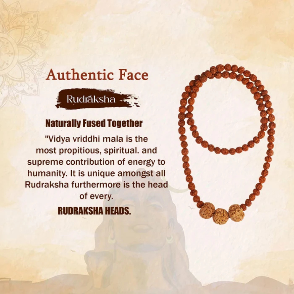 Vidya Vriddhi Mala - 4 Mukhi and 5 Mukhi Rudraksha