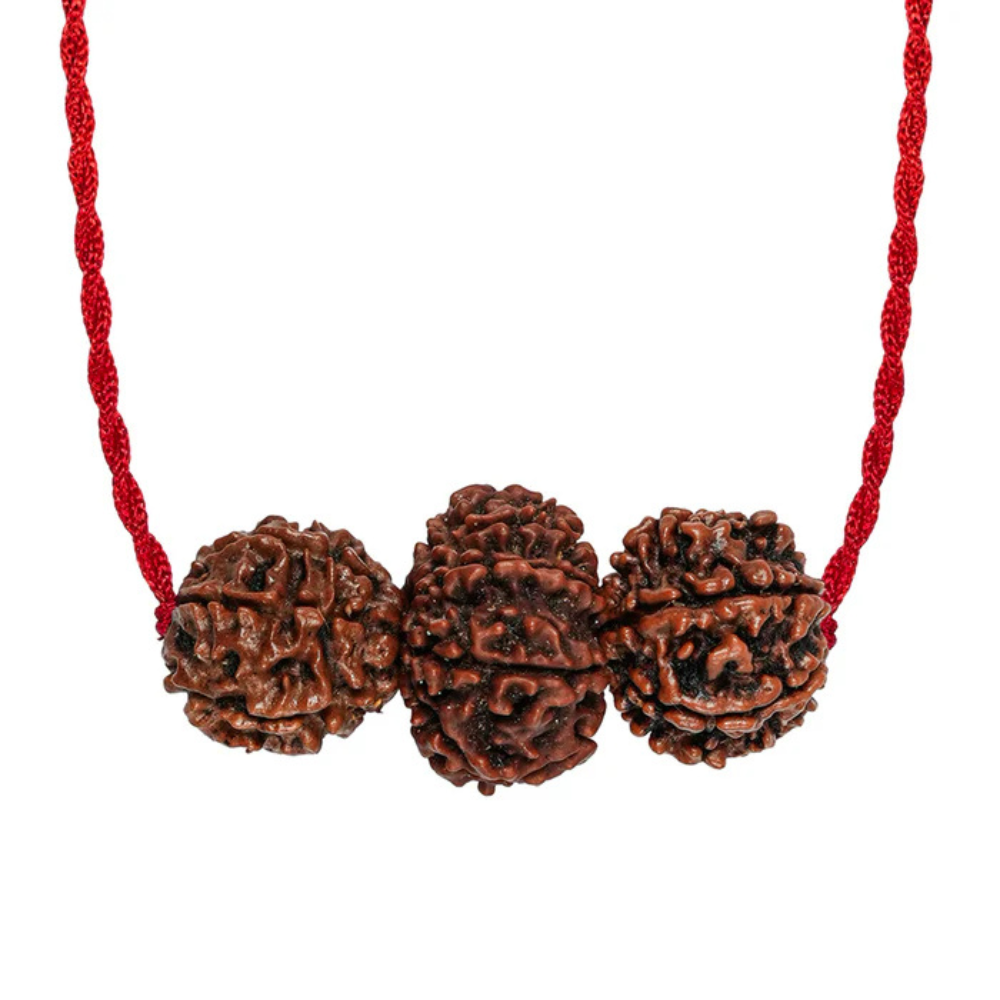 Shakti Kavach – 7 & 9 Mukhi Rudraksha