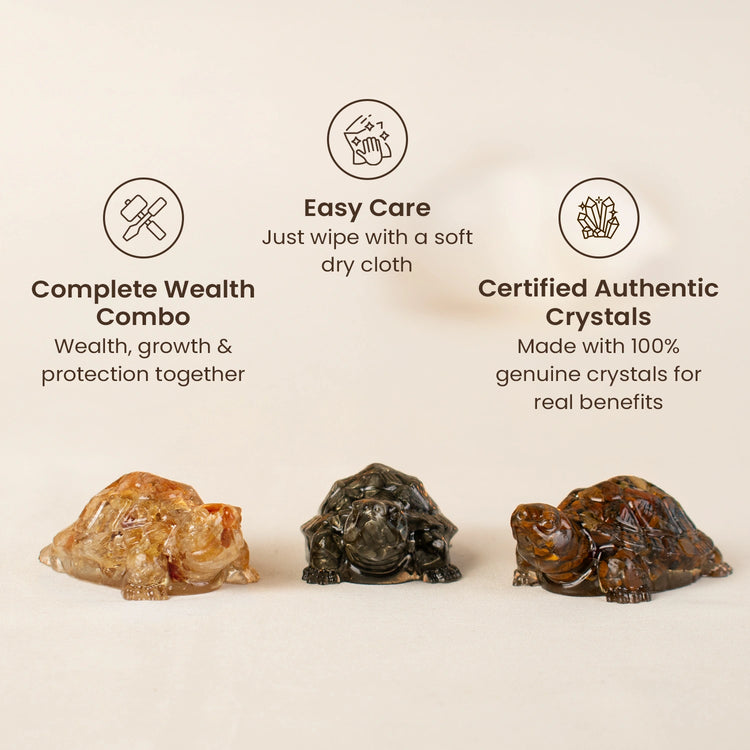 Maha Dhan Yog Tortoise Combo