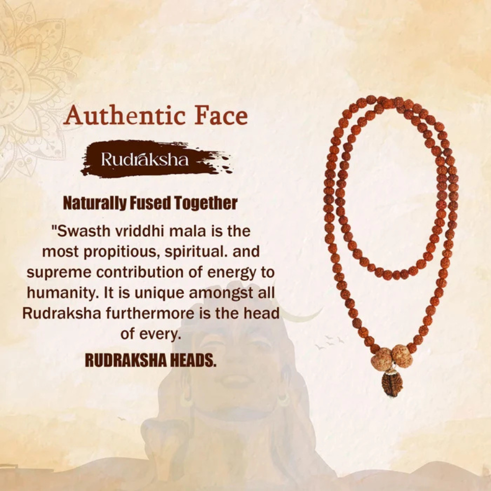 Swasth Vriddhi Mala - 7 Mukhi and 2 Mukhi Rudraksha
