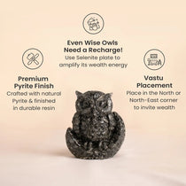 Pyrite Owl