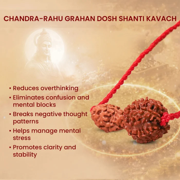 Chandra-Rahu Grahan Dosh Kavach – 2 & 8 Mukhi Rudraksha