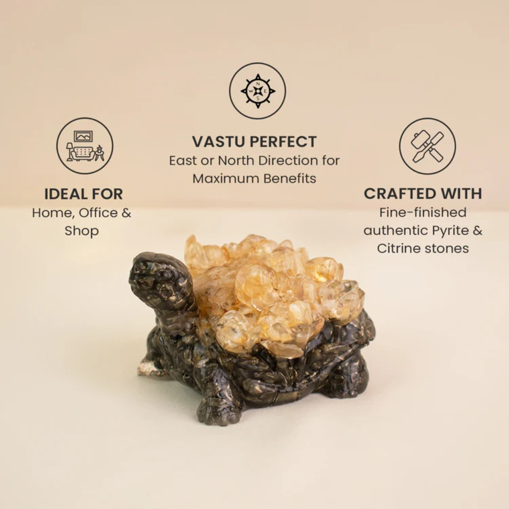 Dhan Labh Tortoise