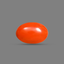 Red Coral (Moonga) – 11.67 Carat / 12.8 Ratti