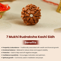 7 Mukhi Rudraksha – Kashi Siddh Ritual Energized Nepali Bead