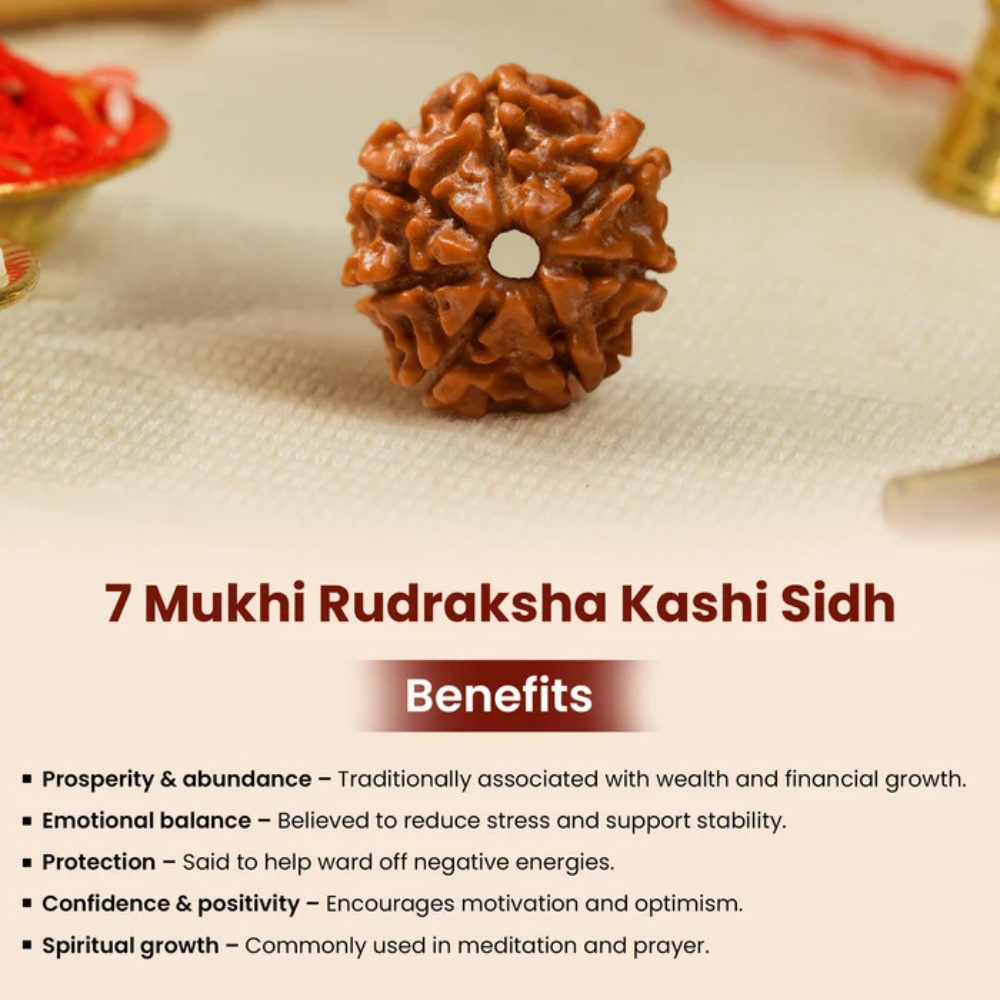 7 Mukhi Rudraksha – Kashi Siddh Ritual Energized Nepali Bead
