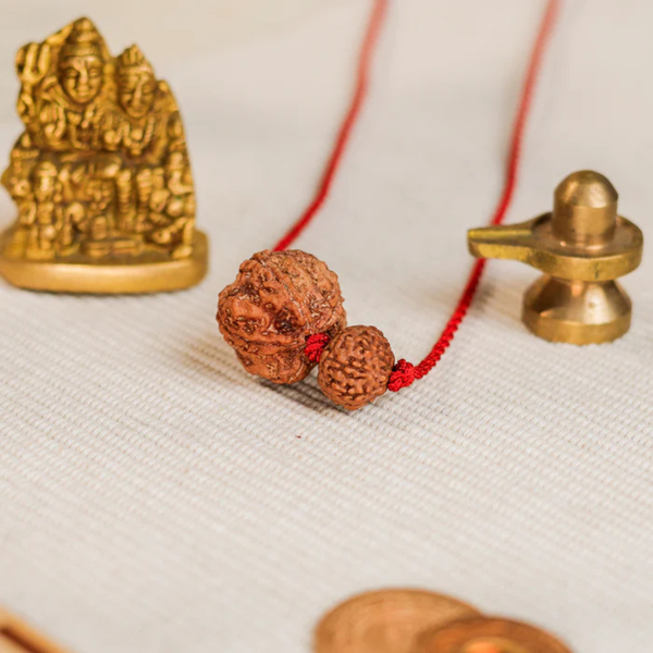 Pisces Zodiac Rudraksha Kavach
