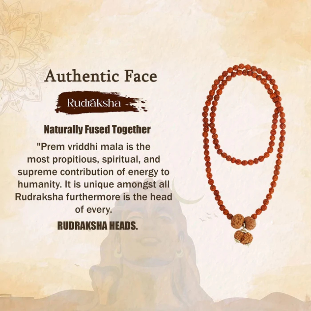 Prem Vriddhi Mala - 6 Mukhi, 7 Mukhi and Gauri Shankar Rudraksha (AB)