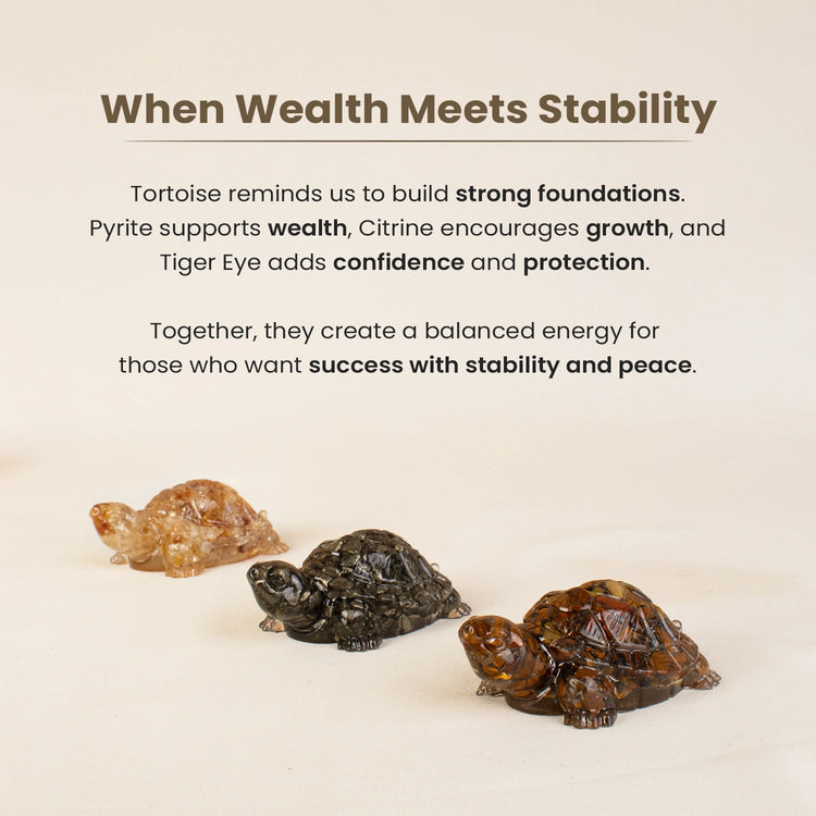 Maha Dhan Yog Tortoise Combo Secondary image