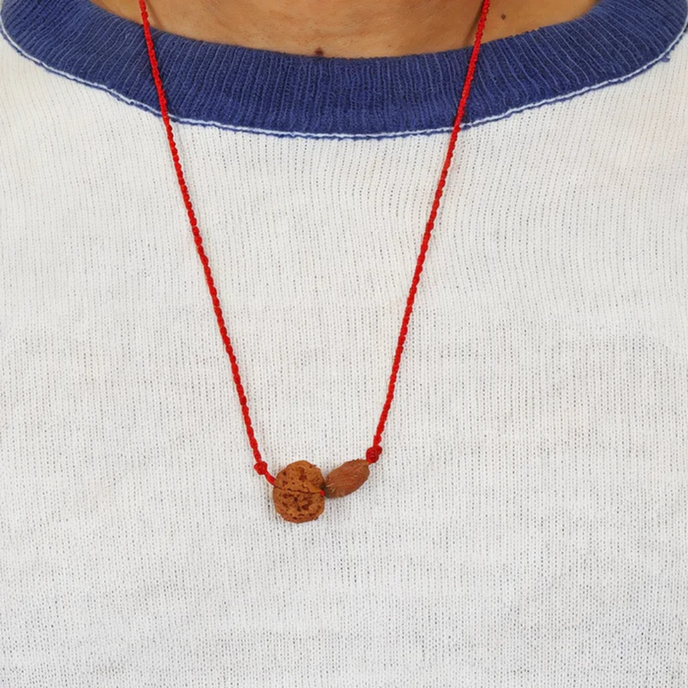Gajkesari Yog Kavach – 2 Mukhi Rudraksha
