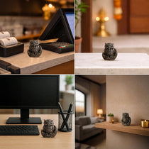 Vastu Pyrite Wealth & Wisdom Combo