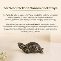 Vastu Pyrite Tortoise Combo – Small Kachhua with Big Kachhua