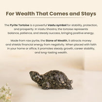 Dhan Lakshmi Bracelet with Vastu Pyrite Tortoise (Kachhua)