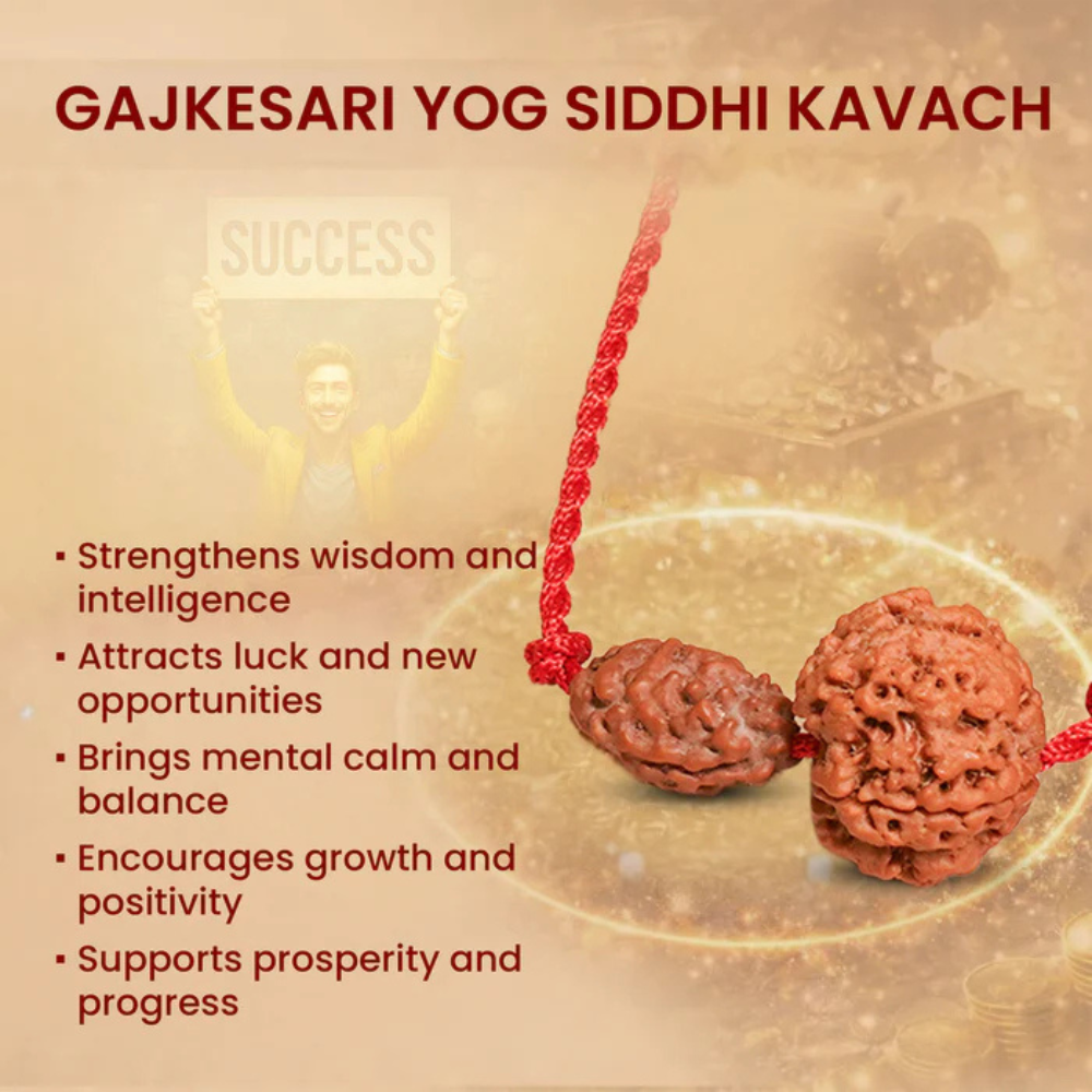 Gajkesari Yog Kavach – 2 Mukhi Rudraksha