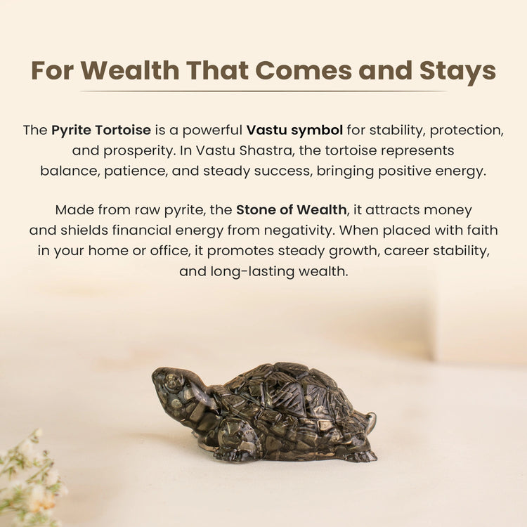 Vastu Pyrite Tortoise (Pack of 2) Secondary image