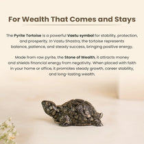 Vastu Pyrite Tortoise (Pack of 2)