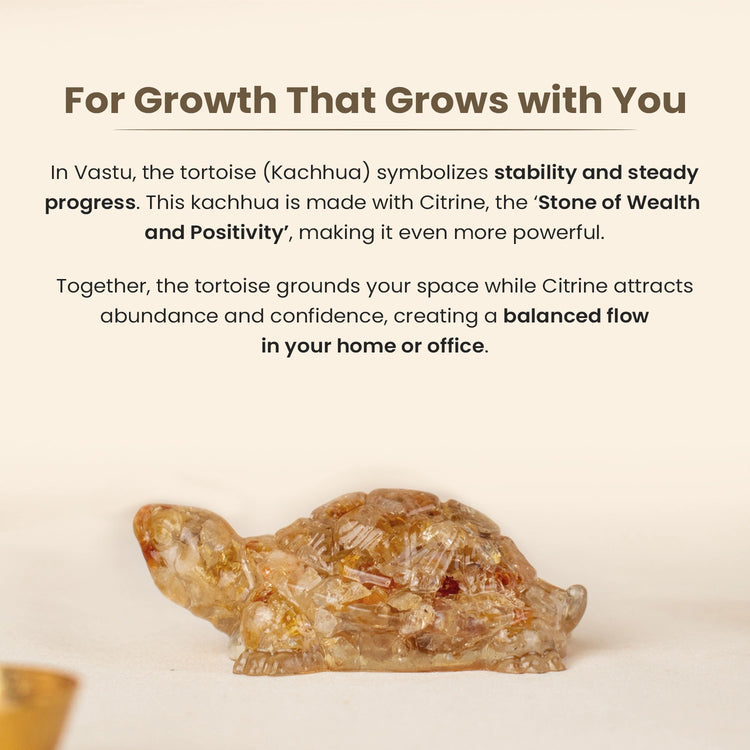 Vastu Citrine Tortoise (Kachhua) Secondary image