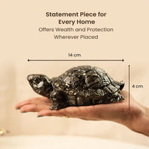 Vastu Pyrite Tortoise Combo – Small Kachhua with Big Kachhua