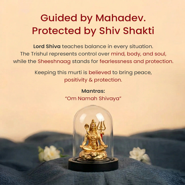 Shiv Shakti Murti