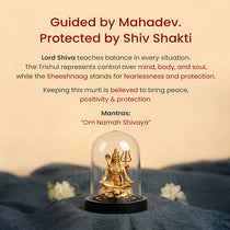 Shiv Shakti Murti