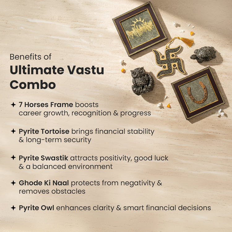 Ultimate Vastu Combo Secondary image