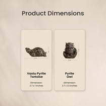 Ultimate Vastu Combo