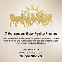 Vastu Shakti Combo – 7 Horses on Pyrite Frame with Pyrite Tortoise