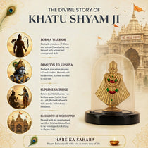 Khatu Shyam Murti with Dome