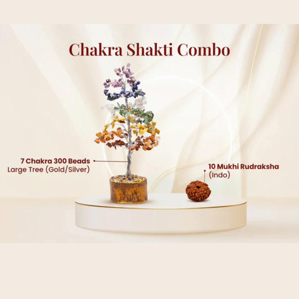 Chakra Shakti Combo Main image
