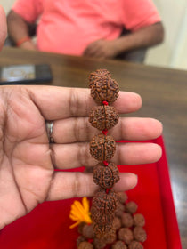 7 Mukhi Rudraksha Mala For Japa