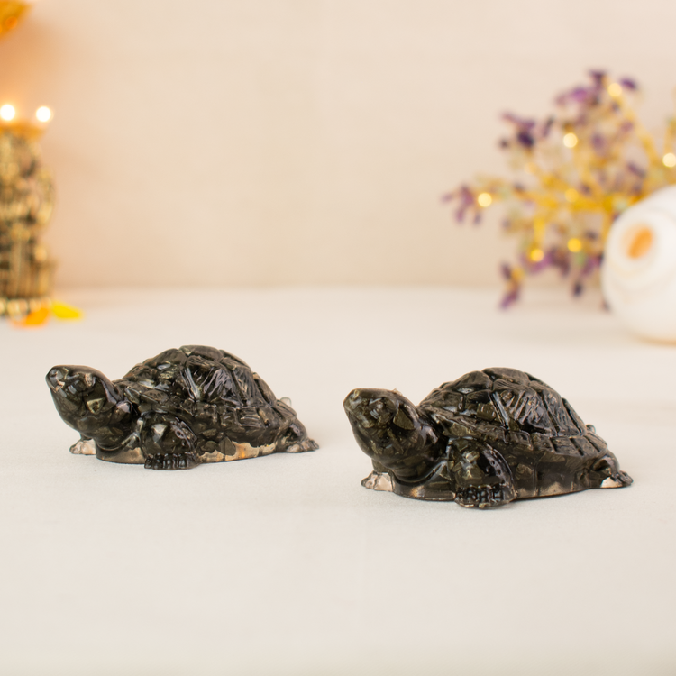 Vastu Pyrite Tortoise (Pack of 2) Main image