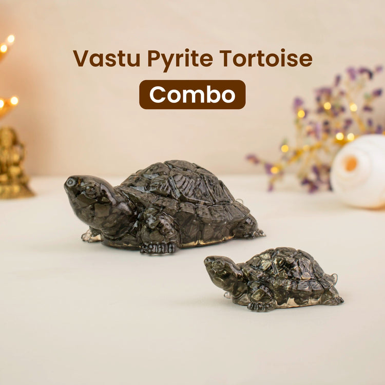 Vastu Pyrite Tortoise Combo – Small Kachhua with Big Kachhua Main image